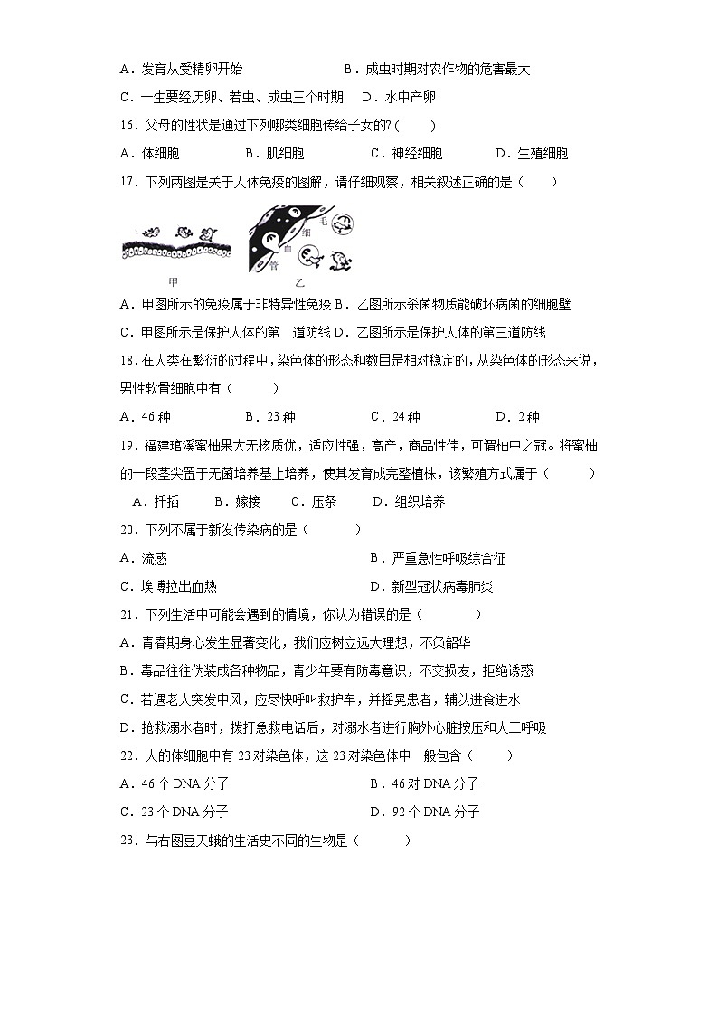 卷03-2022-2023学年人教版八年级生物下学期期末综合测试卷（原卷版+解析版）03