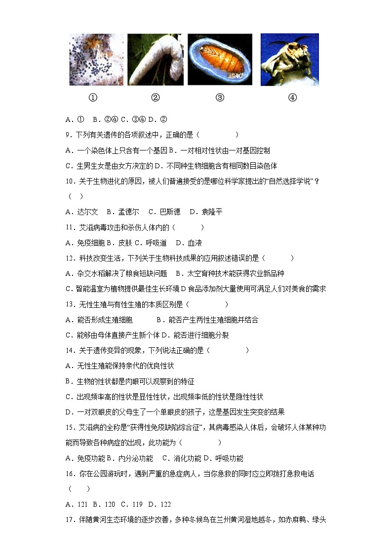 卷04-2022-2023学年人教版八年级生物下学期期末综合测试卷（原卷版+解析版）02