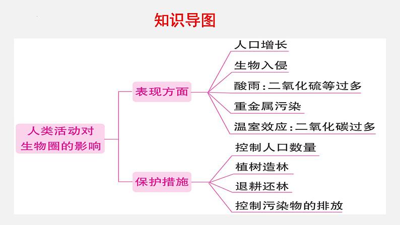 【期末复习课件】人教版七年级生物下学期第七章：人类活动对生物圈的影响（复习课件）02