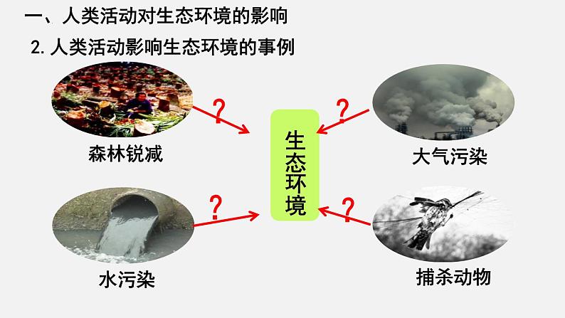 【期末复习课件】人教版七年级生物下学期第七章：人类活动对生物圈的影响（复习课件）06