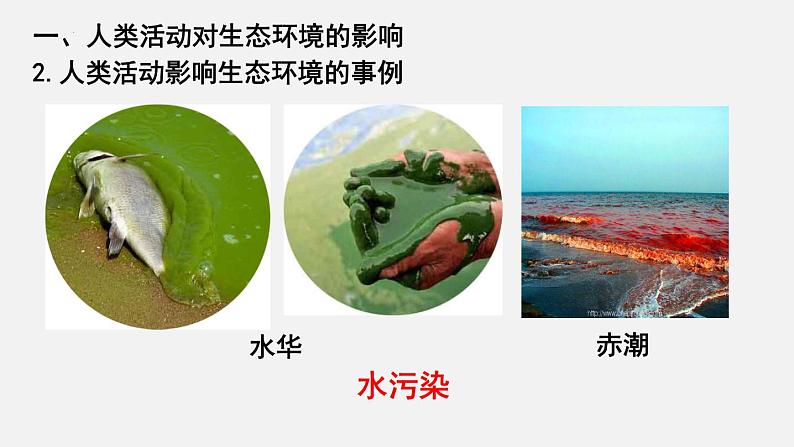 【期末复习课件】人教版七年级生物下学期第七章：人类活动对生物圈的影响（复习课件）08