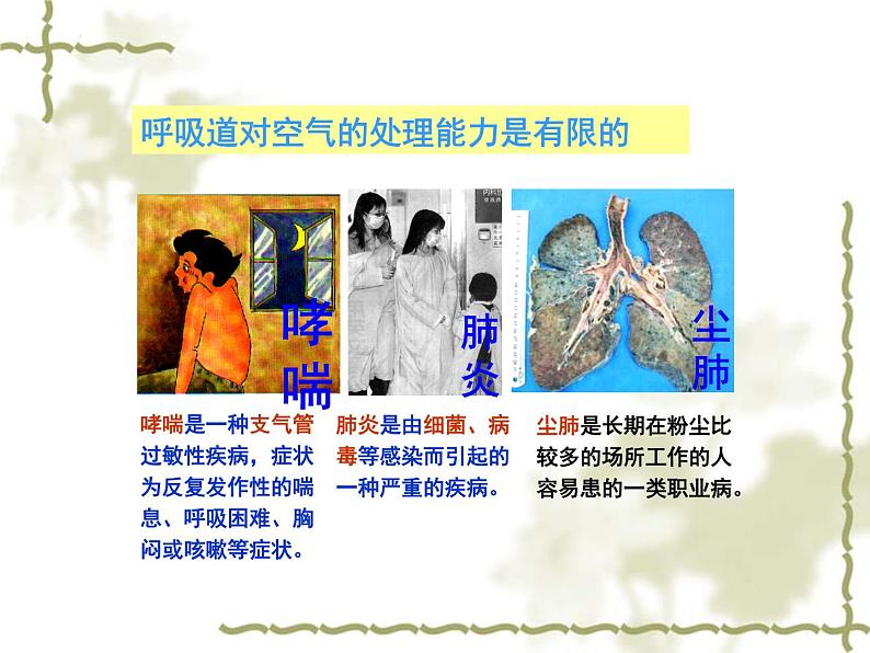 【期末复习课件】人教版七年级生物下学期第三章：人体的呼吸（复习课件）07