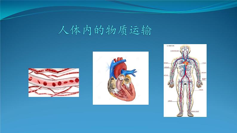 【期末复习课件】人教版七年级生物下学期第四章：人体内物质的运输（复习课件）第1页