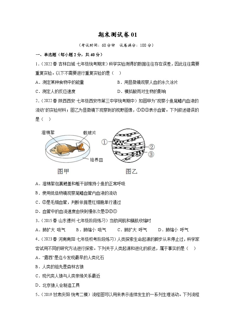 【期末模拟试卷】人教版七年级生物下学期期末知识梳理+冲刺卷01（原卷版+解析版）01