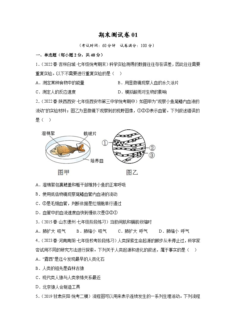 【期末模拟试卷】人教版七年级生物下学期期末知识梳理+冲刺卷01（原卷版+解析版）01