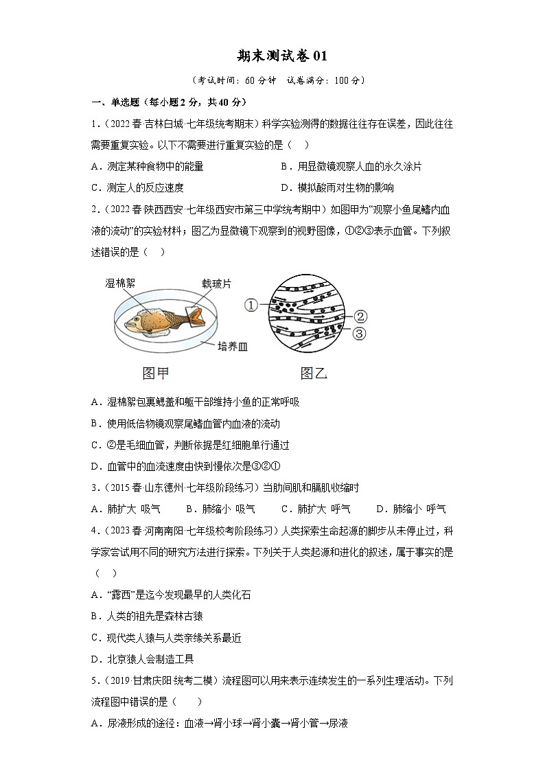 【期末模拟试卷】人教版七年级生物下学期期末知识梳理+冲刺卷01（原卷版+解析版）01