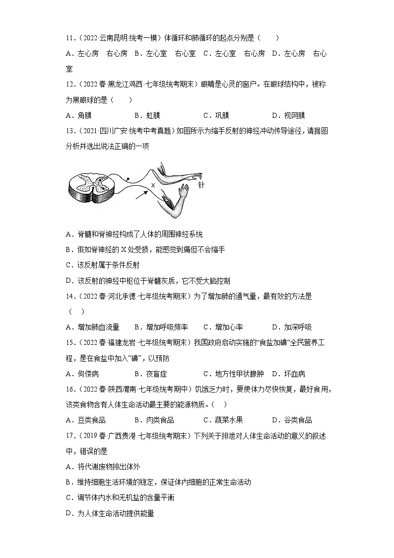 【期末模拟试卷】人教版七年级生物下学期期末知识梳理+冲刺卷01（原卷版+解析版）03