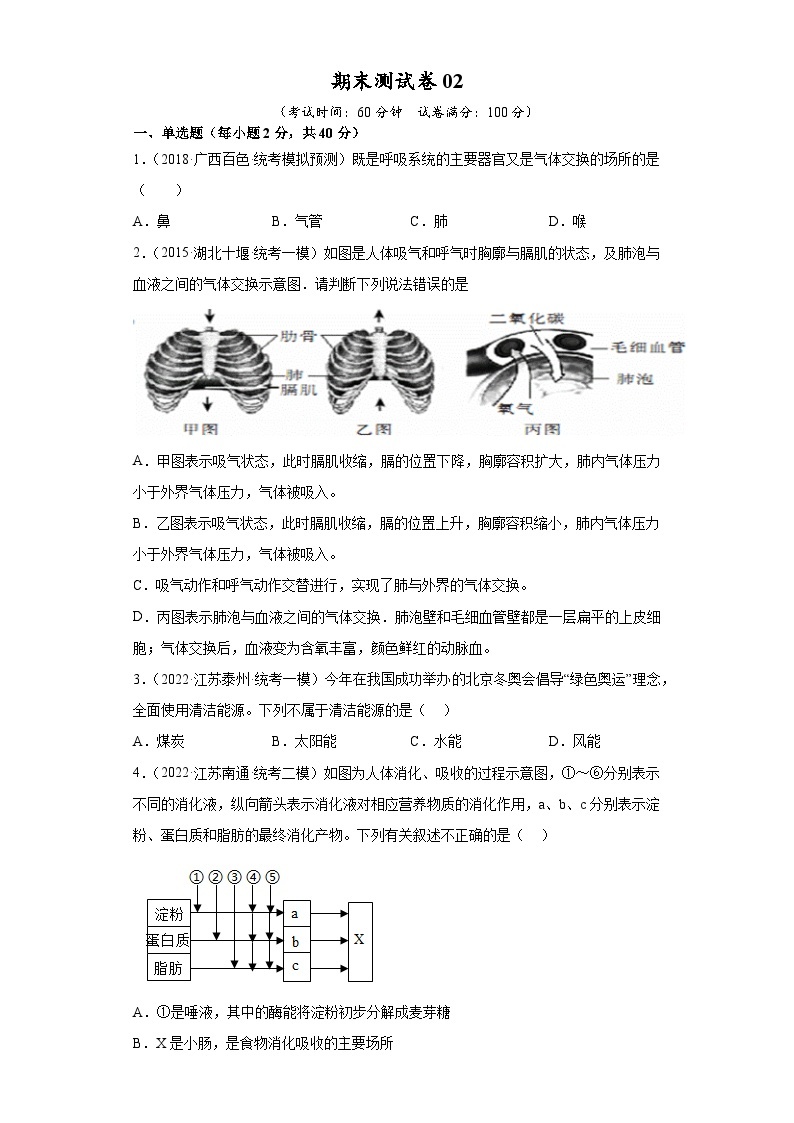 【期末模拟试卷】人教版七年级生物下学期期末知识梳理+冲刺卷02（原卷版+解析版）01