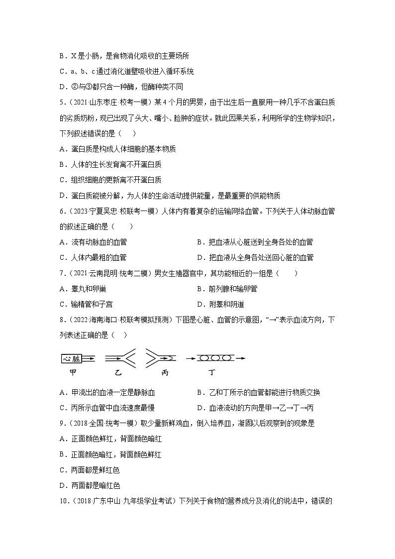 【期末模拟试卷】人教版七年级生物下学期期末测试卷02（原卷版）第2页