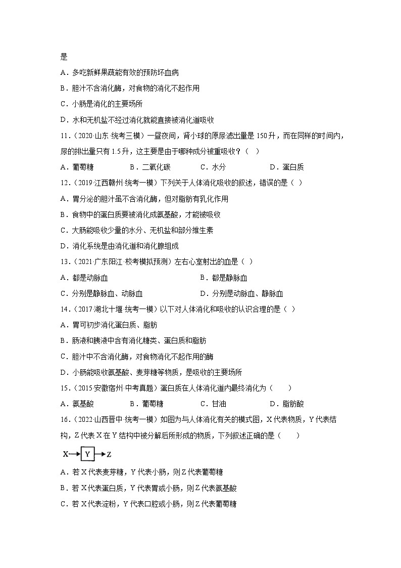 【期末模拟试卷】人教版七年级生物下学期期末测试卷02（原卷版）第3页
