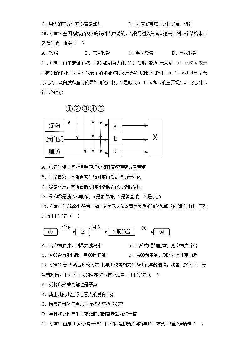 【期末模拟试卷】人教版七年级生物下学期期末知识梳理+冲刺卷03（原卷版+解析版）02