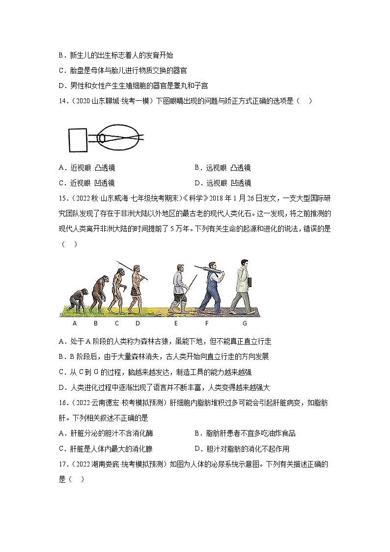 【期末模拟试卷】人教版七年级生物下学期期末知识梳理+冲刺卷03（原卷版+解析版）03