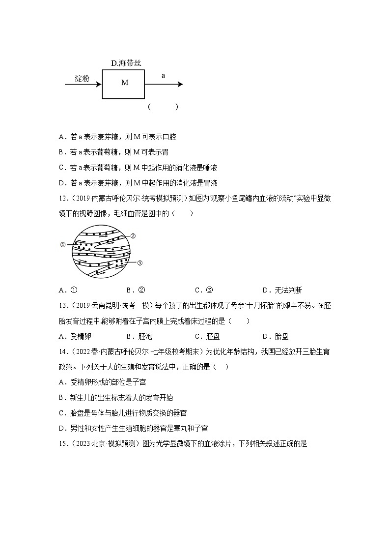 【期末模拟试卷】人教版七年级生物下学期期末知识梳理+冲刺卷04（原卷版+解析版）03