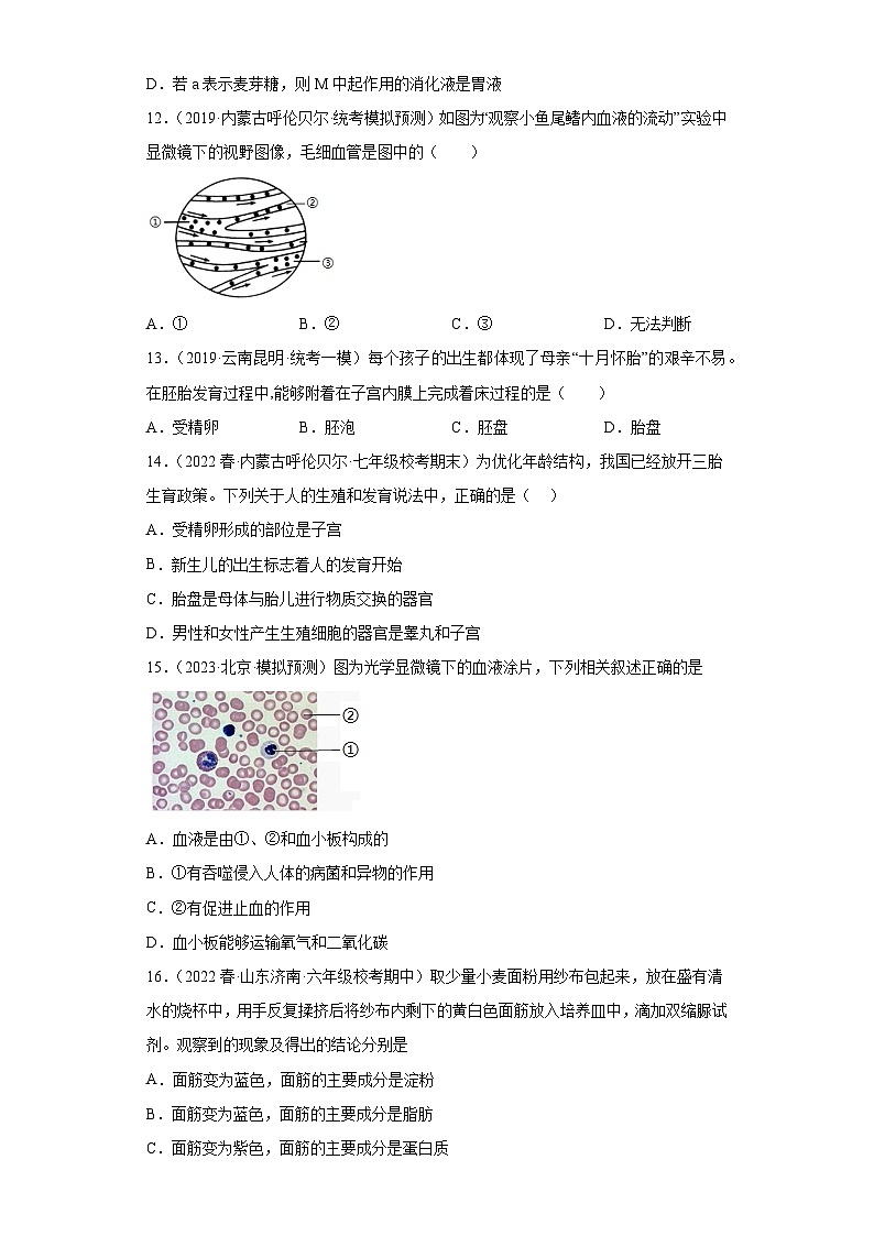 【期末模拟试卷】人教版七年级生物下学期期末知识梳理+冲刺卷04（原卷版+解析版）03