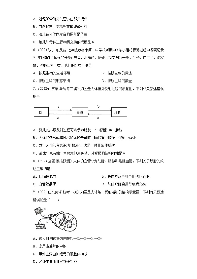【期末模拟试卷】人教版七年级生物下学期期末知识梳理+冲刺卷05（原卷版+解析版）02