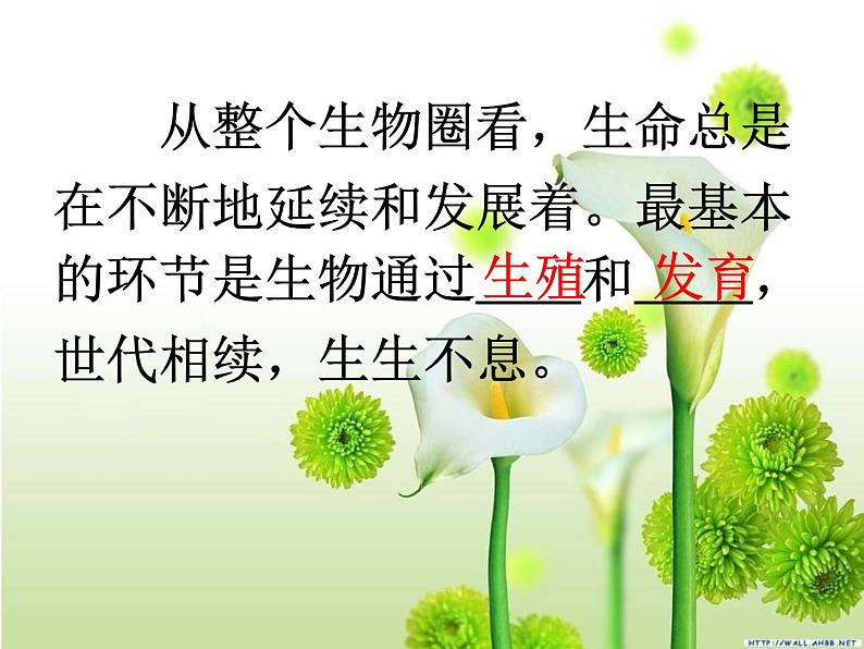 【期末复习课件】人教版八年级生物下学期八下期末总复习课件02