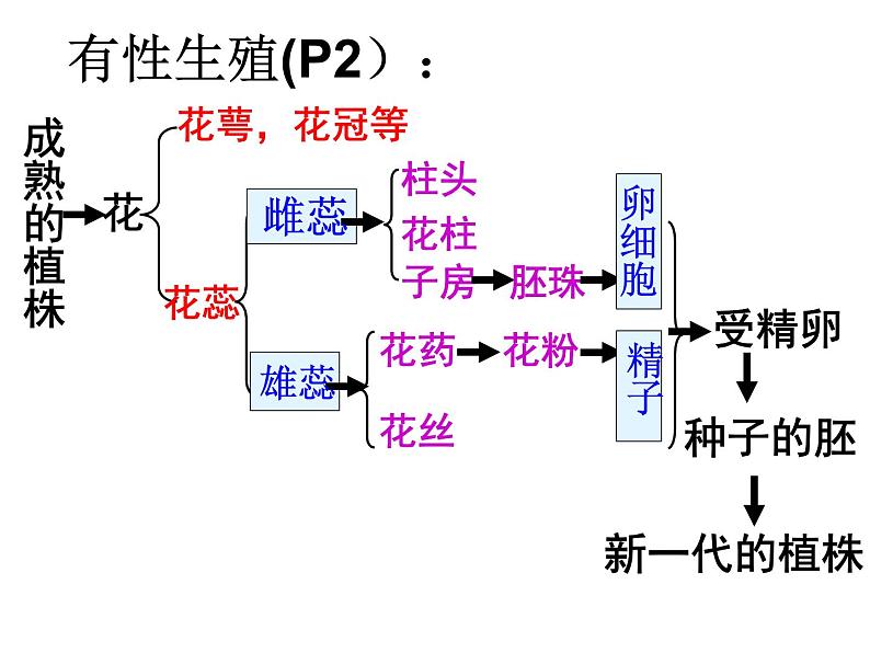 【期末复习课件】人教版八年级生物下学期八下期末总复习课件03