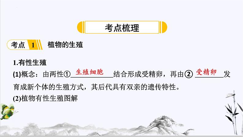 【期末复习课件】人教版八年级生物下学期第七单元第1章 生物的生殖和发育（复习课件）02