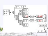 【期末复习课件】人教版八年级生物下学期第七单元第1章 生物的生殖和发育（复习课件）