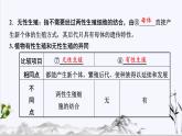 【期末复习课件】人教版八年级生物下学期第七单元第1章 生物的生殖和发育（复习课件）