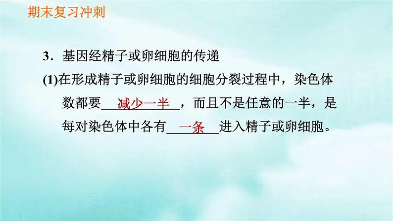 【期末复习课件】人教版八年级生物下学期第七单元第2章 生物的遗传与变异（复习课件）07