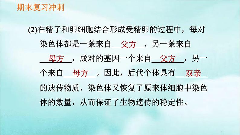 【期末复习课件】人教版八年级生物下学期第七单元第2章 生物的遗传与变异（复习课件）08