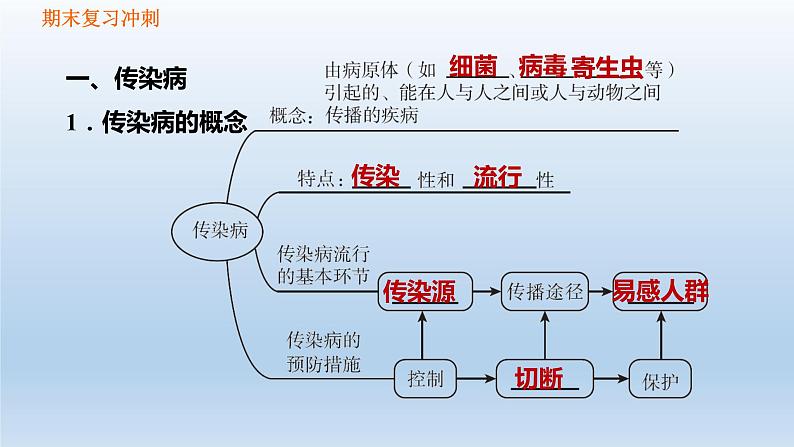 【期末复习课件】人教版八年级生物下学期第八单元第1章 传染病和免疫（复习课件）02