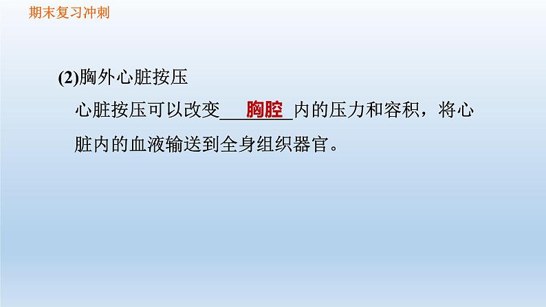 【期末复习课件】人教版八年级生物下学期第八单元第2章 用药与急救及第3章 了解自己，增进健康（复习课件）第5页