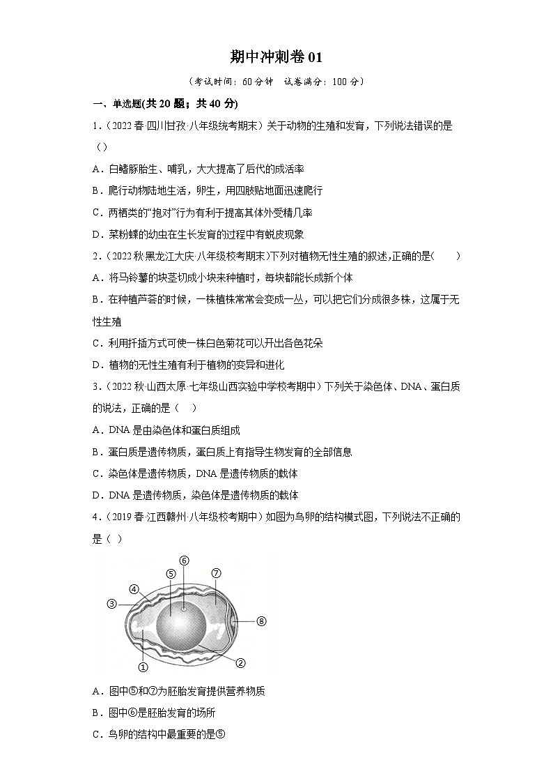 期中卷01-2022-2023学年八年级生物下学期期中期末复习知识梳理+冲刺卷（人教版）01