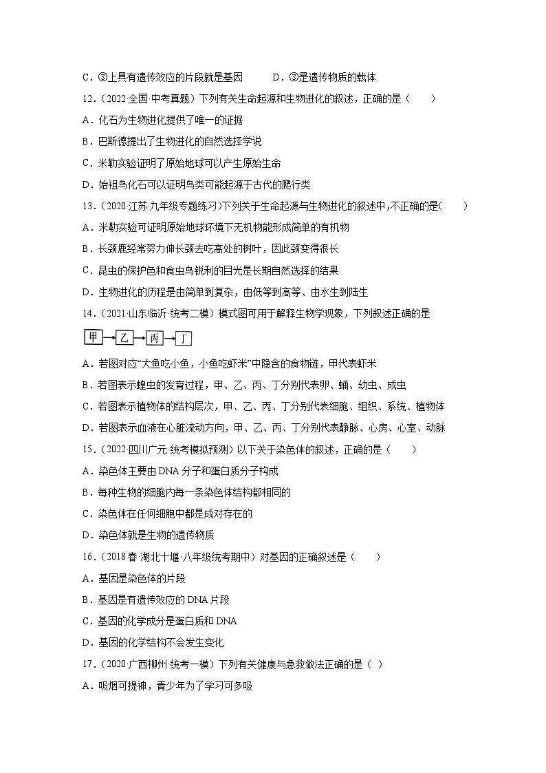 期末卷02-2022-2023学年八年级生物下学期期中期末复习知识梳理+冲刺卷（人教版）03