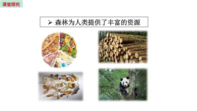 7.3 绿化，我们的共同行动  （课件）苏教版生物七年级上册第4页