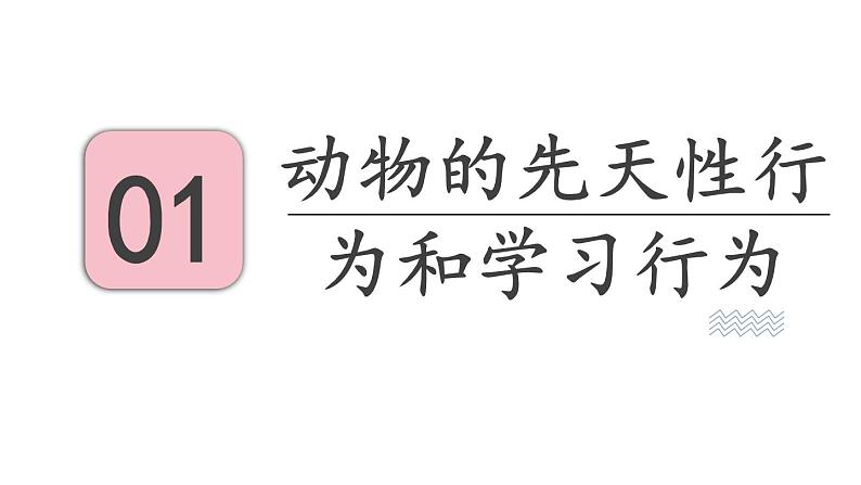 18.2 动物行为的生理依据 （课件）苏教版生物八年级上册03