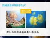 北师大版八年级生物上册课件 5.15.1 动物的运动方式