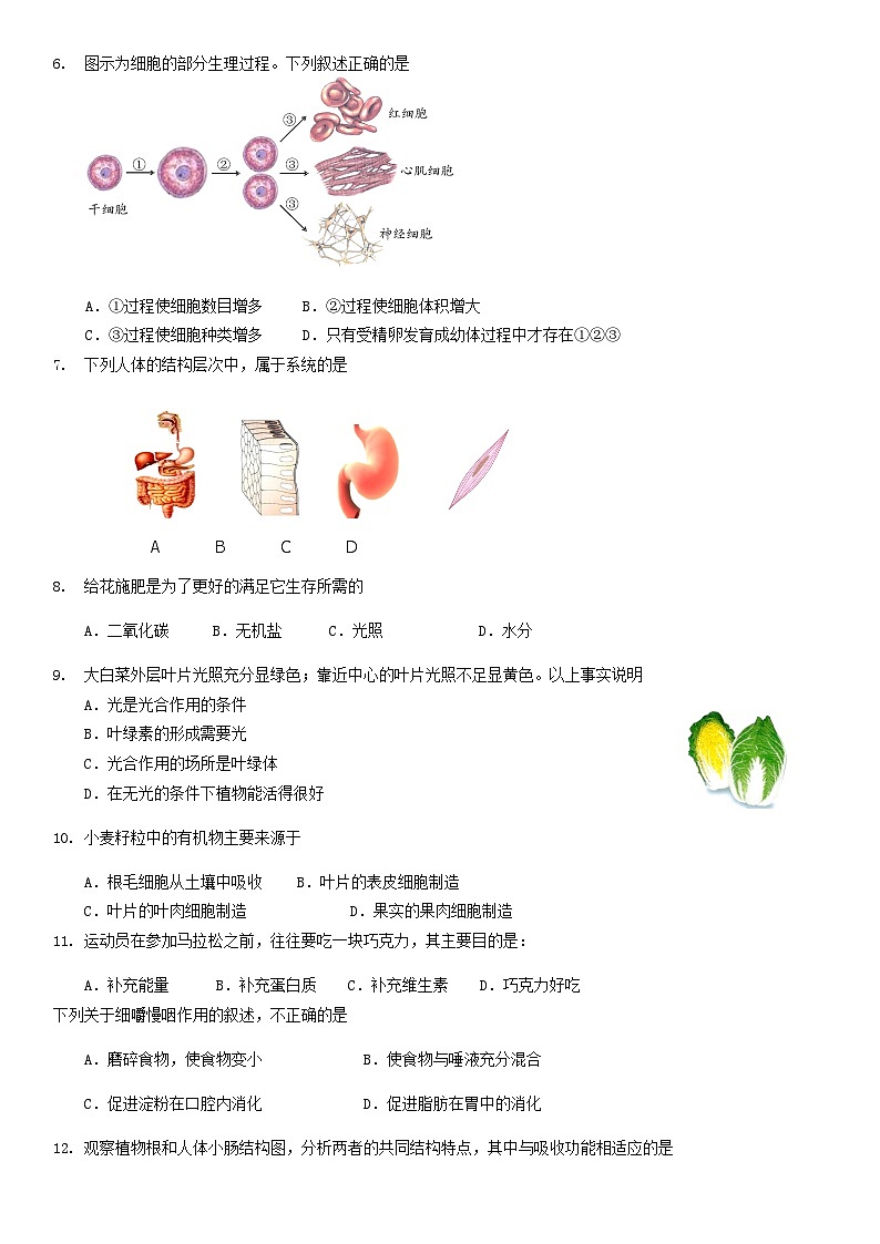 2019北京昌平区初一（上）期末生物含答案第2页