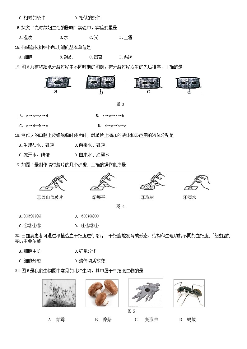 2019北京房山区初一（上）期末生物含答案 试卷03