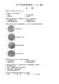 2019北京市怀柔区初一（上）期末生物含答案