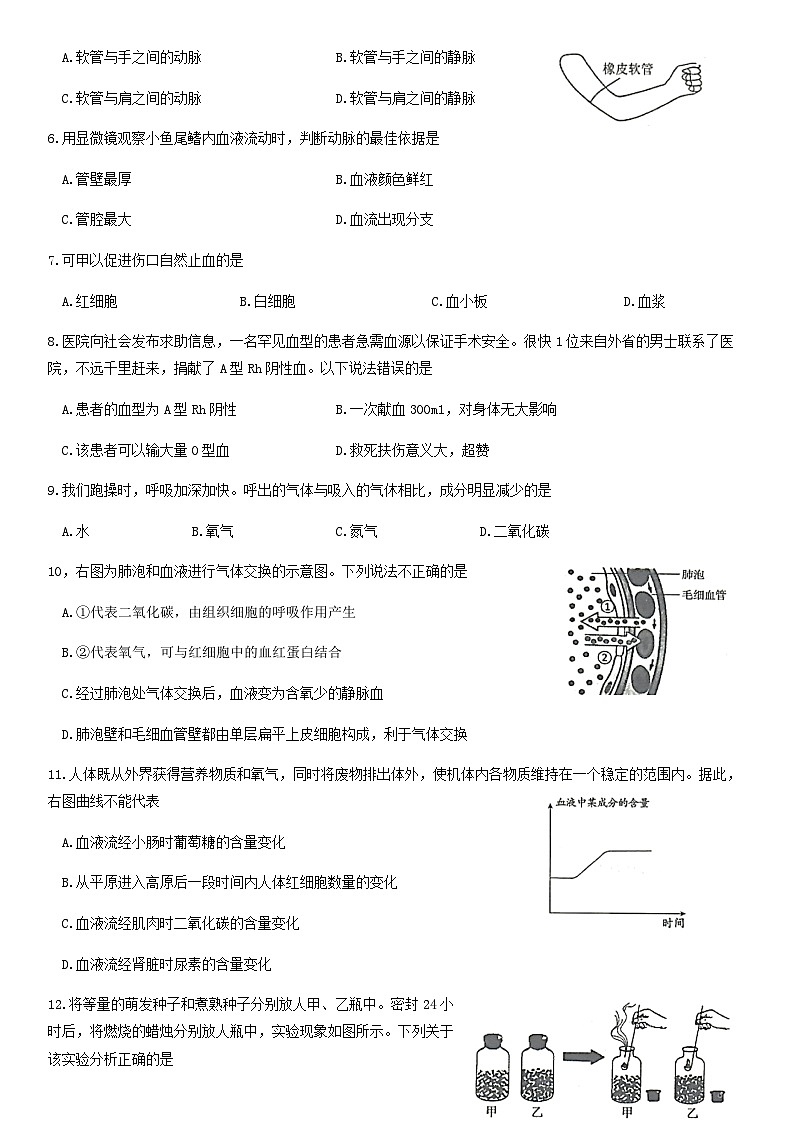 2019北京朝阳初一（下）期末生物（选用）含答案第2页