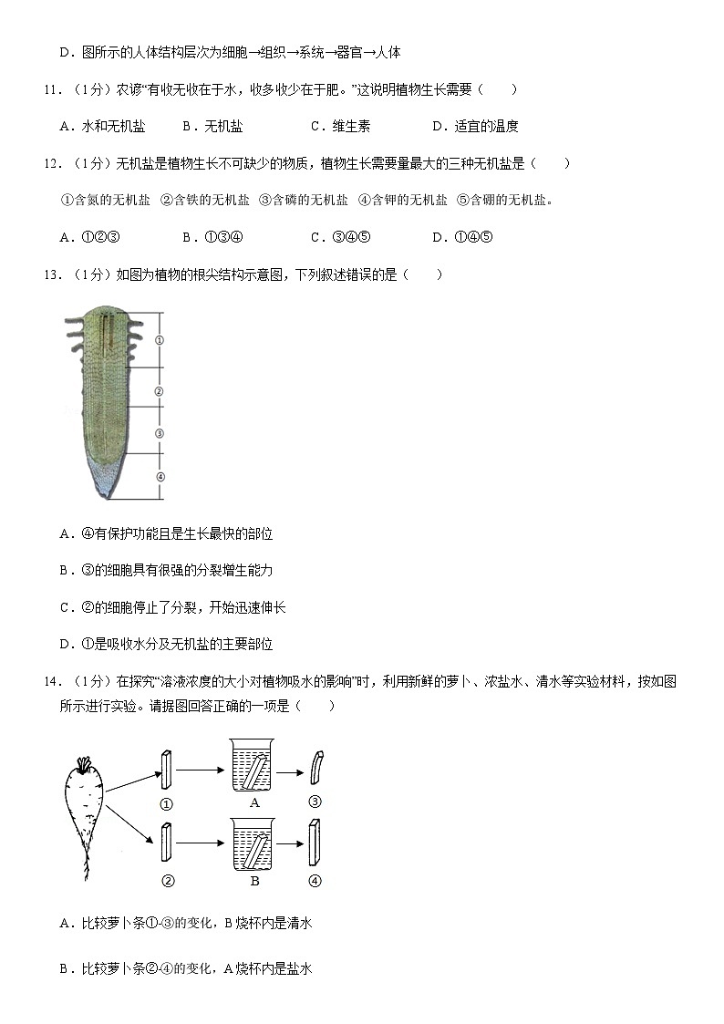 2020北京房山初一（上）期末生物（教师版） 试卷03