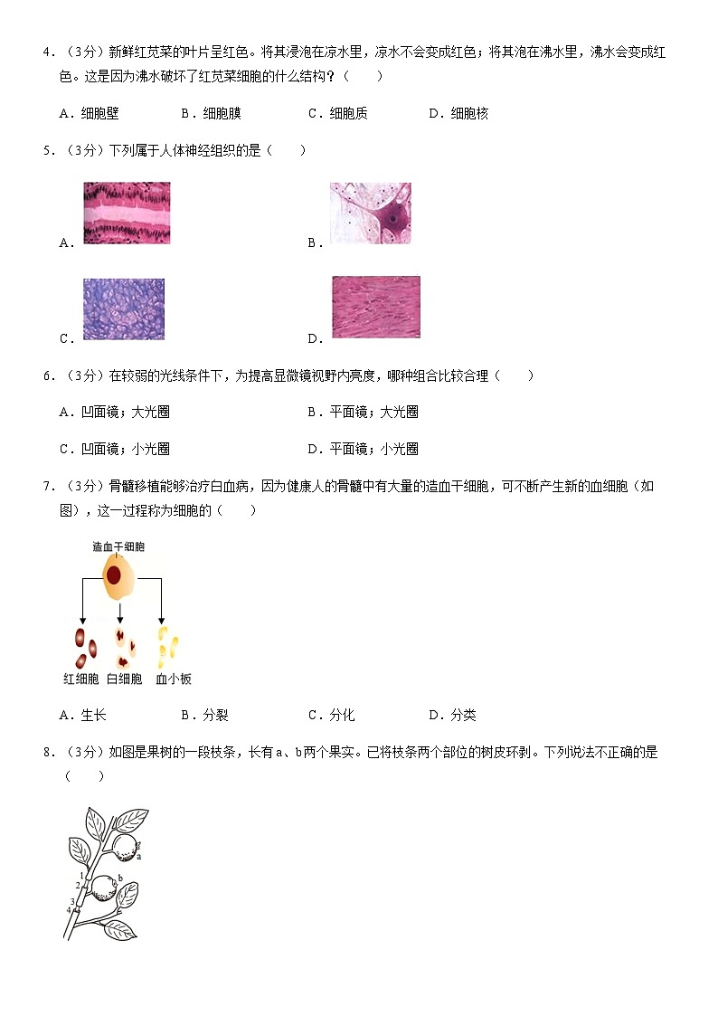 2020北京密云初一（上）期末生物（教师版） 试卷02