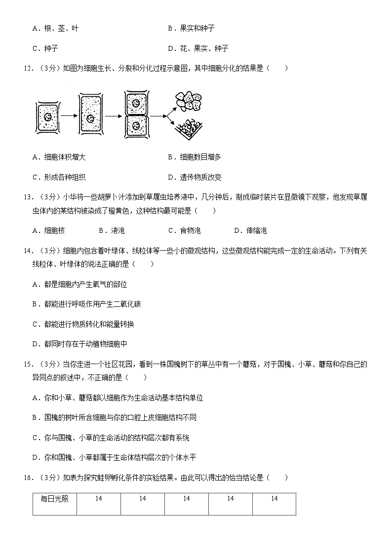 2020北京通州初一（上）期末生物（教师版） 试卷03