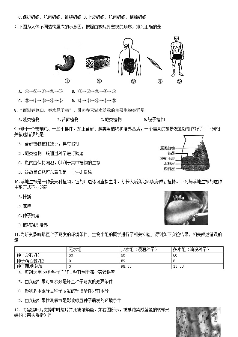 2020北京西城初一（上）期末生物含答案 试卷02