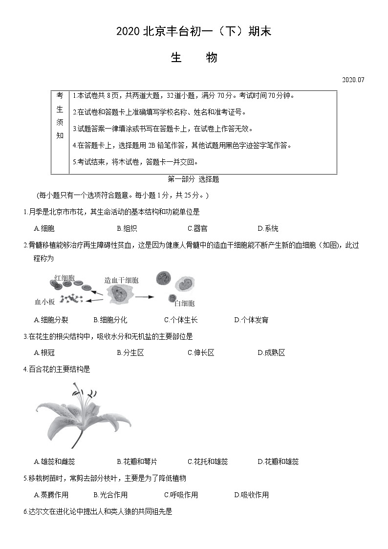 2020北京丰台初一（下）期末生物 试卷01