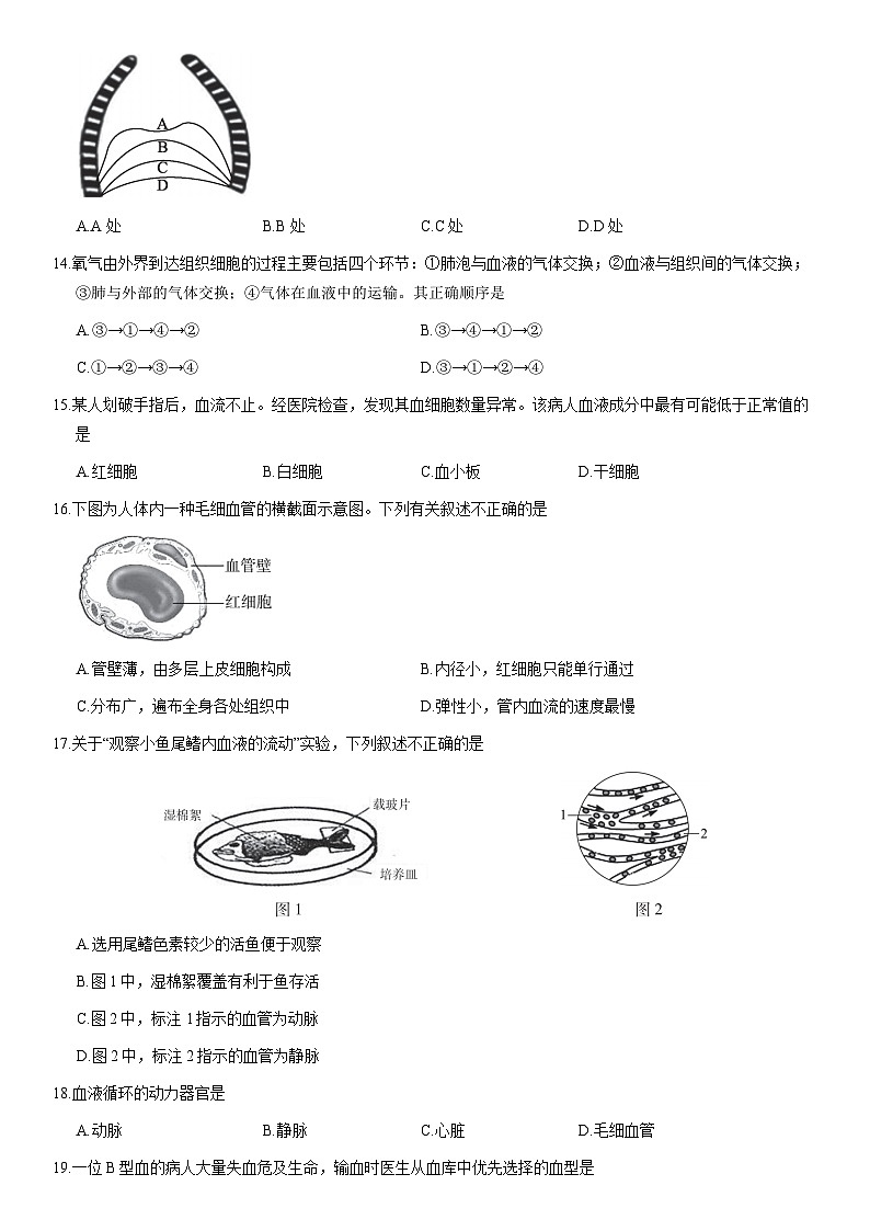 2020北京丰台初一（下）期末生物 试卷03