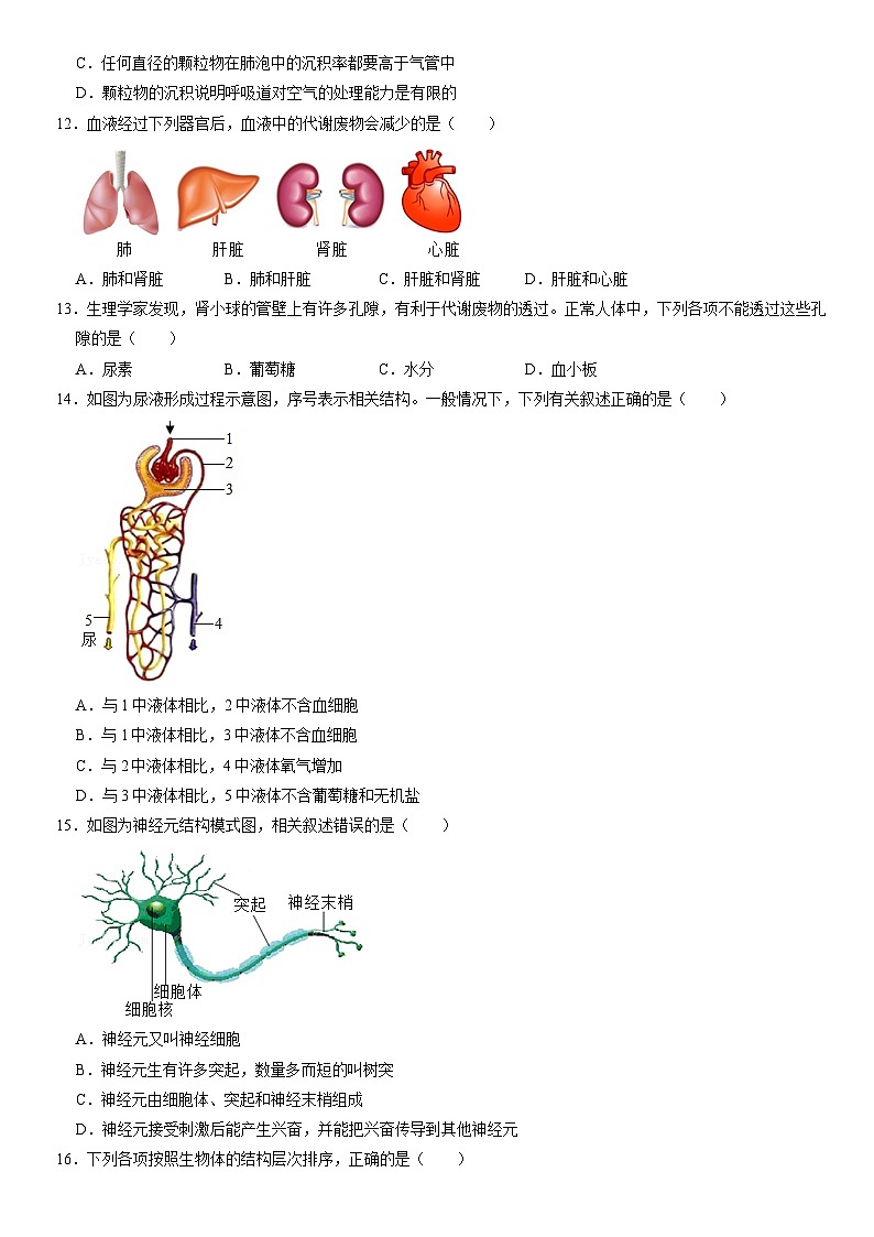 2020北京通州初一（下）期末生物（教师版）第3页