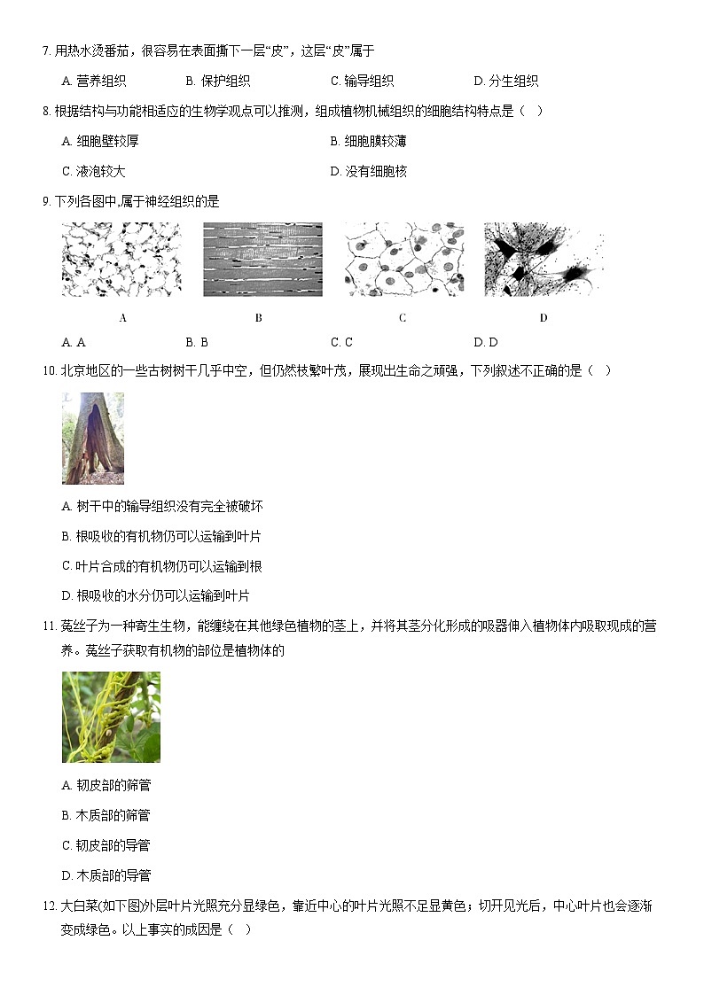 2020北京延庆初一（下）期中生物（教师版）第2页