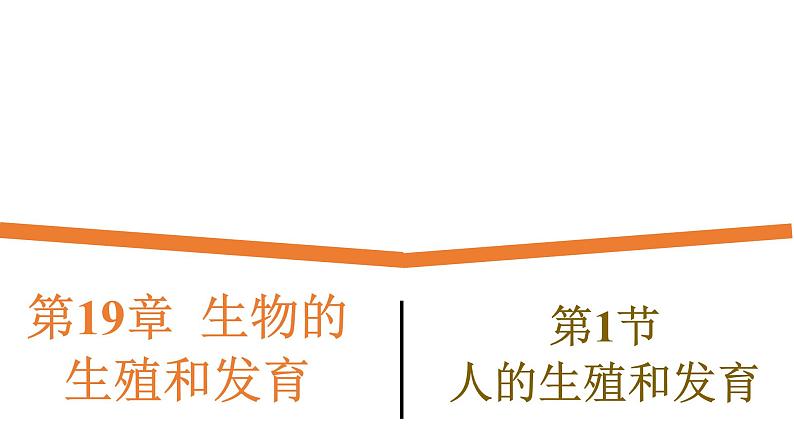 19.1《人的生殖和发育》课件01