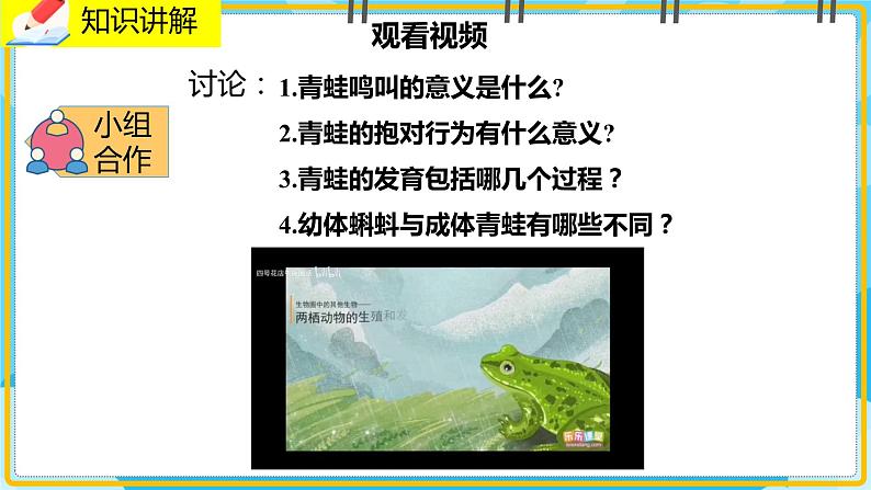 19.2.2《动物的生殖和发育》课件03