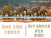19.2.3《动物的生殖和发育》课件