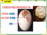 19.2.3《动物的生殖和发育》课件