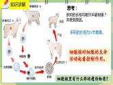 20.2《性状遗传的物质基础》课件